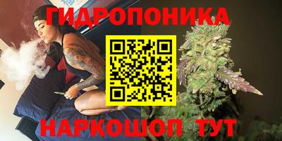 ПСИЛОЦИБИНОВЫЕ ГРИБЫ Аргун