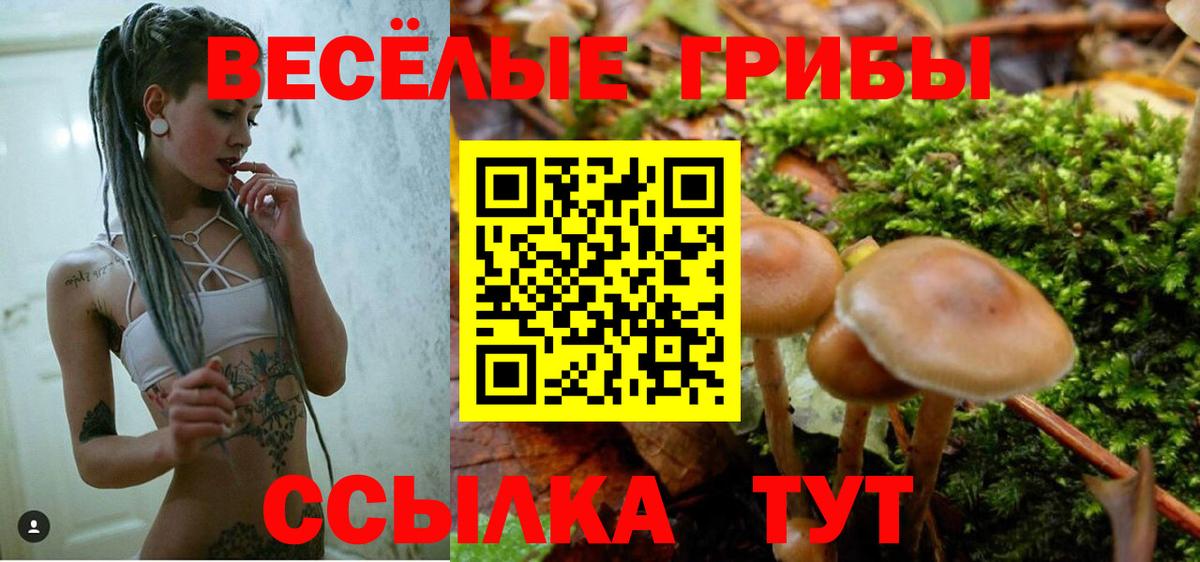 Галлюциногенные грибы Magic Shrooms  купить  цена  Псилоцибиновые грибы Cubensis  Артёмовский 