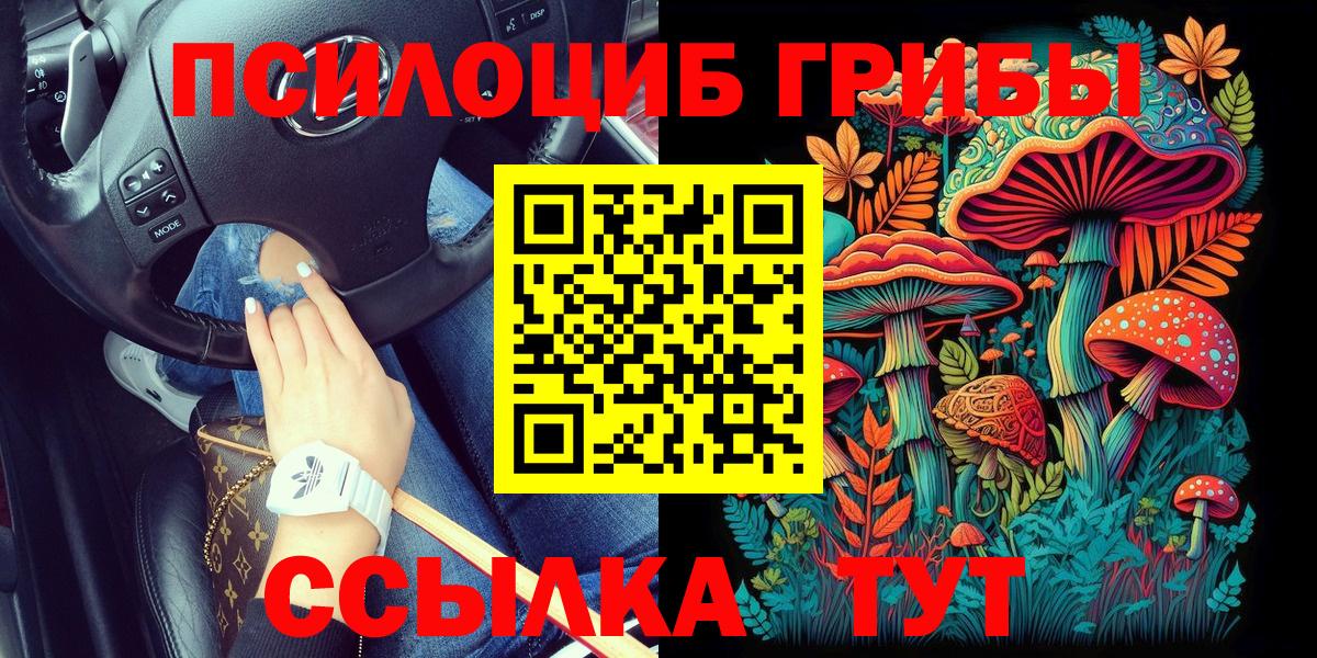Артёмовский  Галлюциногенные грибы мицелий  Вход с VPN 